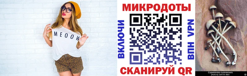 мориарти формула  Сельцо  Псилоцибиновые грибы мицелий 